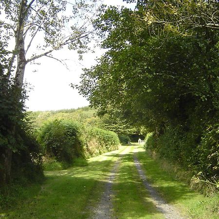 Holdstrong Farmhouse Villa Lydford Exterior foto