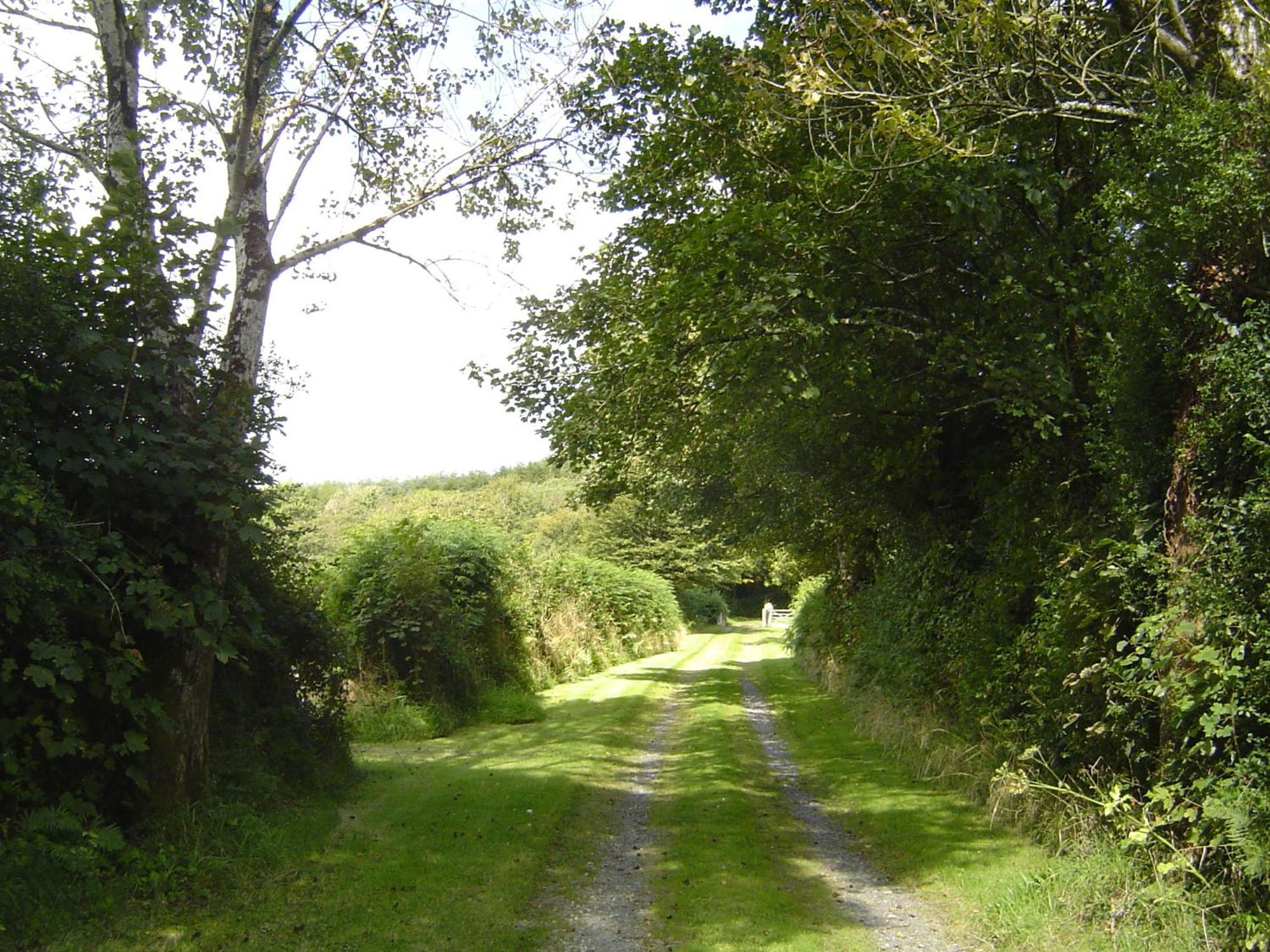 Holdstrong Farmhouse Villa Lydford Exterior foto